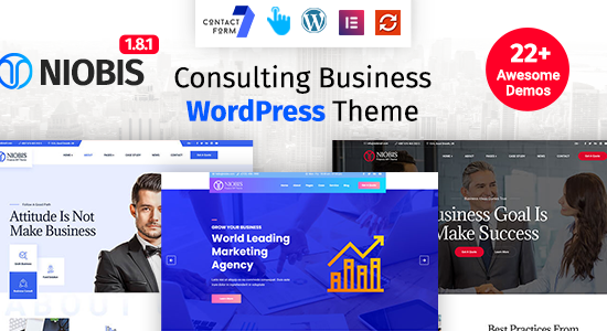 NioBis - Tư vấn WordPress Theme