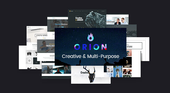 Orion - Chủ đề WordPress đa năng sáng tạo