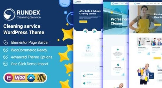 Rundex - Dịch vụ dọn dẹp WordPress Theme