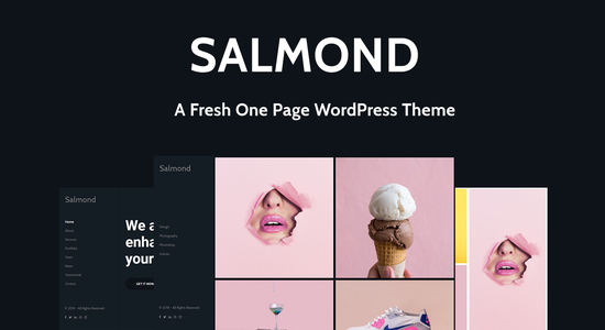 Salmond - Một chủ đề WordPress một trang mới