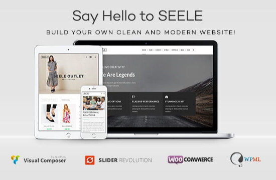 Seele - Chủ đề WordPress đa mục đích sạch sẽ