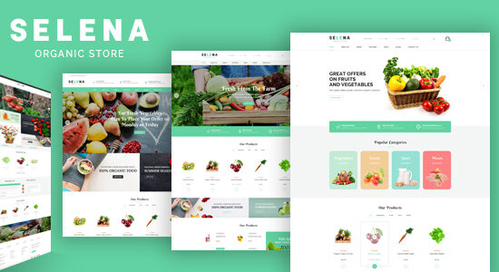 Selena - Chủ đề cửa hàng thực phẩm hữu cơ cho WooC Commerce WordPress