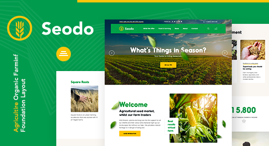 Seodo | Chủ đề WordPress của Tổ chức Nông nghiệp Nông nghiệp