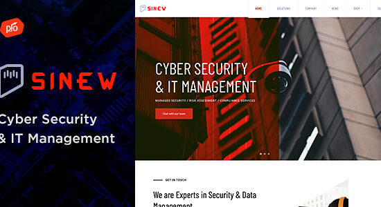 Sinew - Chủ đề WordPress Quản lý CNTT & An ninh mạng