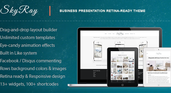 Skyray - Chủ đề Retina thuyết trình doanh nghiệp