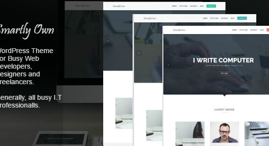 Sở hữu thông minh - Theme WordPress dành cho chuyên gia CNTT