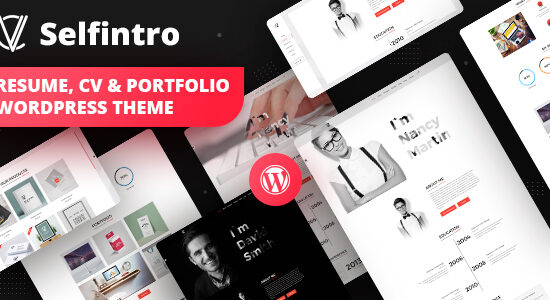 Sơ yếu lý lịch, CV & Portfolio Chủ đề WordPress