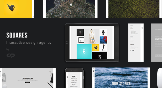 Squares - Danh mục đầu tư của Cơ quan thiết kế tương tác WordPress