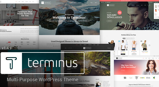 Terminus - Chủ đề WordPress đa mục đích đáp ứng