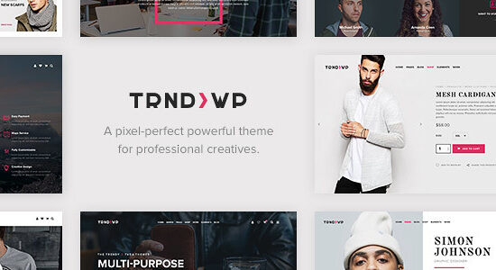 Trendy - Theme WordPress đa mục đích sáng tạo