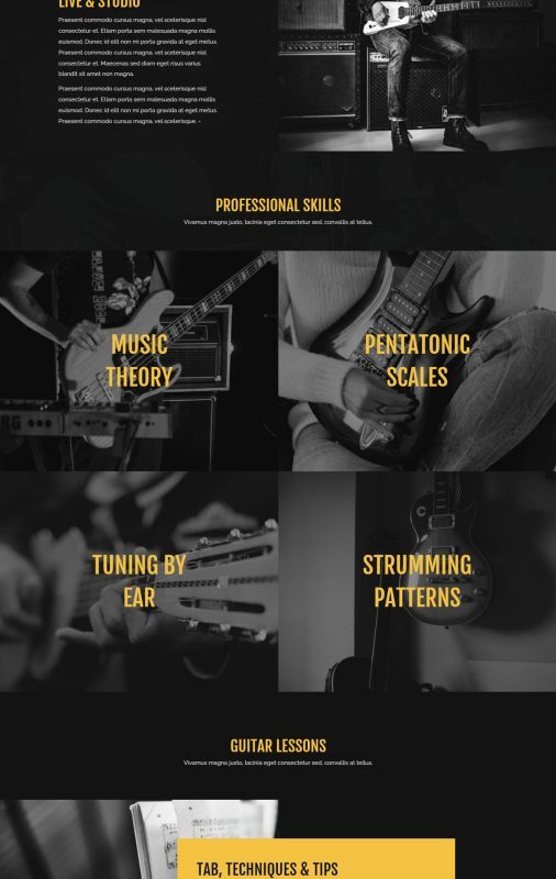 Tay guitar